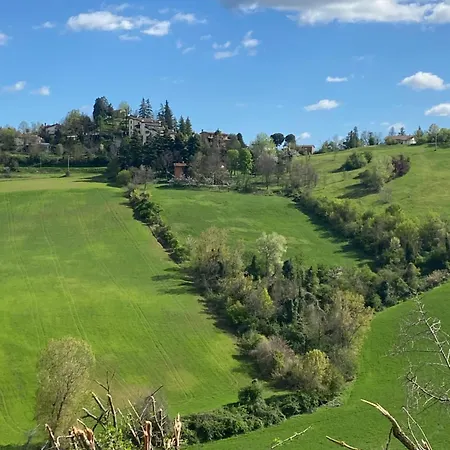 Dog Sanctuary In Bologna Hills With Our Furry Hosts San Lorenzo in Collina