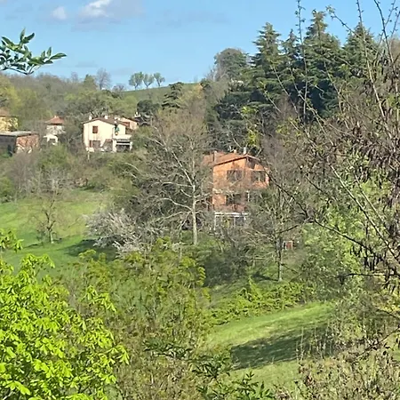 Dog Sanctuary In Bologna Hills With Our Furry Hosts * San Lorenzo in Collina