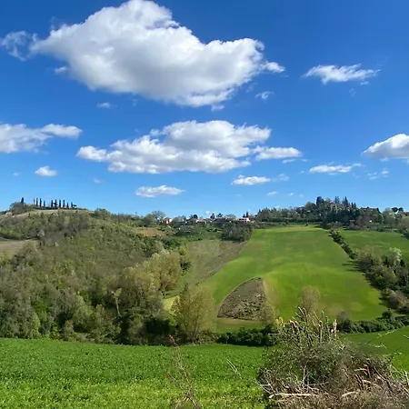 Pansiyon Dog Sanctuary In Bologna Hills With Our Furry Hosts *