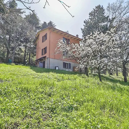 Pansiyon Dog Sanctuary In Bologna Hills With Our Furry Hosts