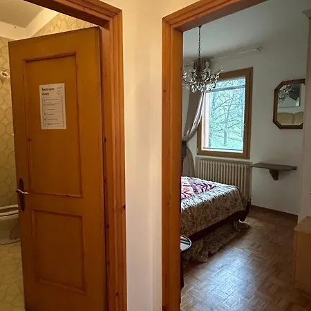 Dog Sanctuary In Bologna Hills With Our Furry Hosts Pansiyon *
