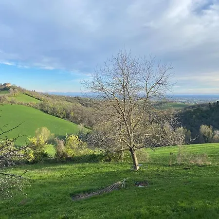 Dog Sanctuary In Bologna Hills With Our Furry Hosts Pansiyon *