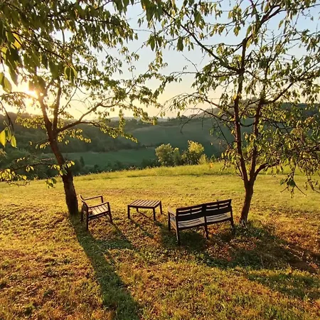 Dog Sanctuary In Bologna Hills With Our Furry Hosts Pansiyon