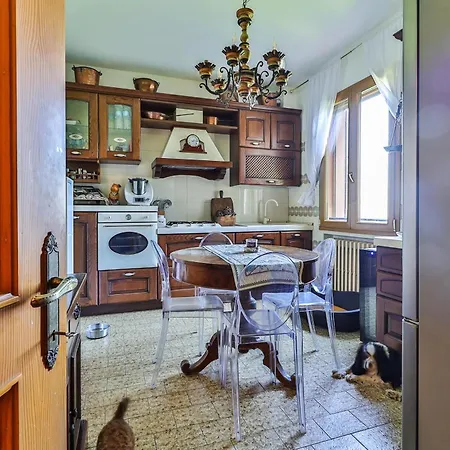 Dog Sanctuary In Bologna Hills With Our Furry Hosts * San Lorenzo in Collina