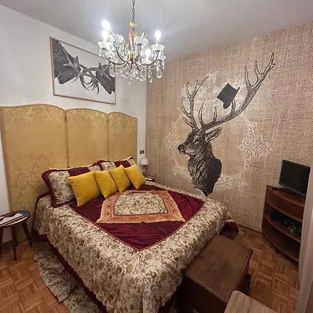 Dog Sanctuary In Bologna Hills With Our Furry Hosts * San Lorenzo in Collina